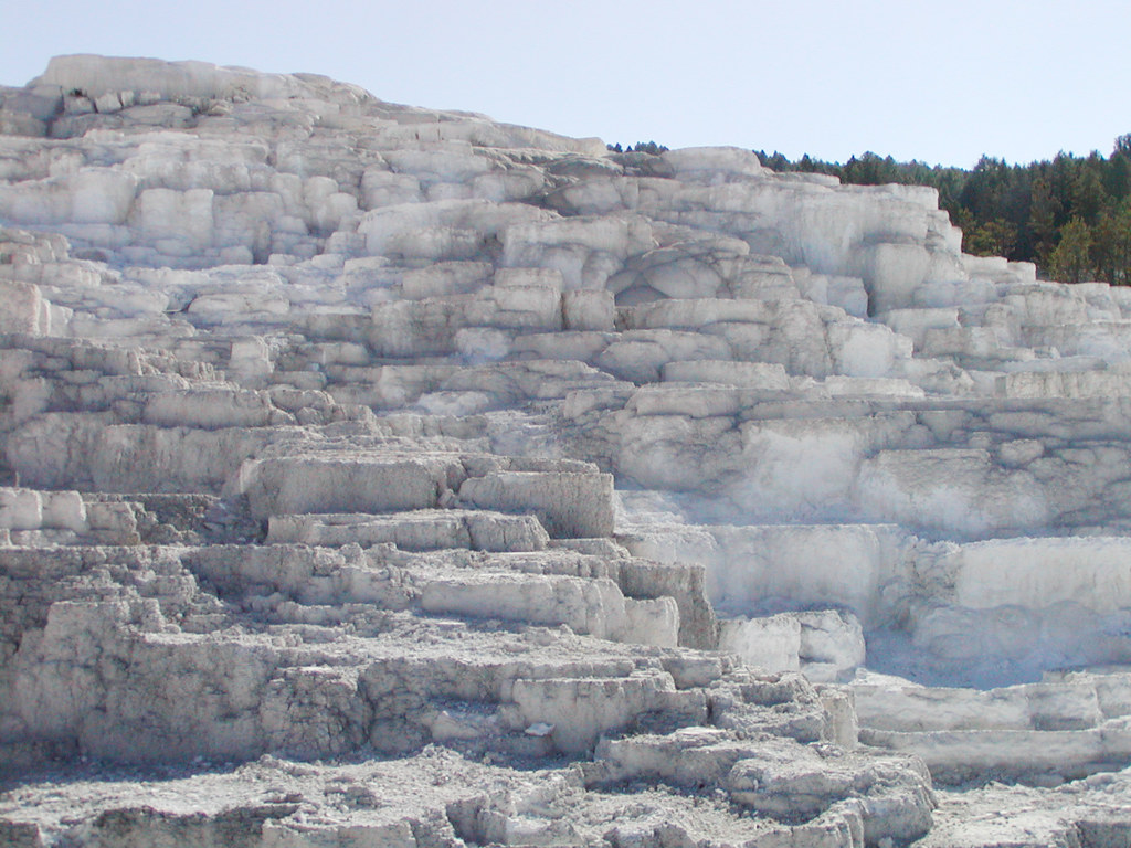 Minerva Terrace Minerva Terrace, in Mammoth Hot Springs, a… Flickr