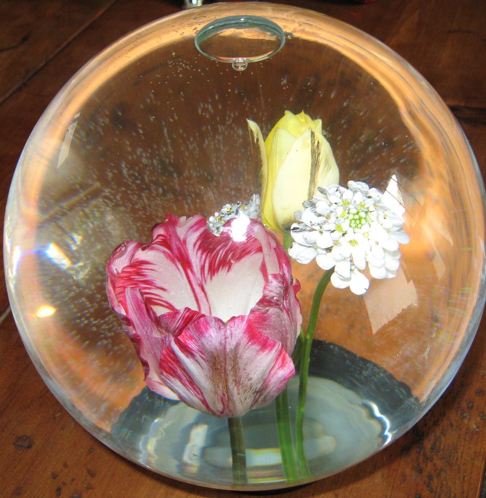 Flower globe Barbara K. Iverson Flickr