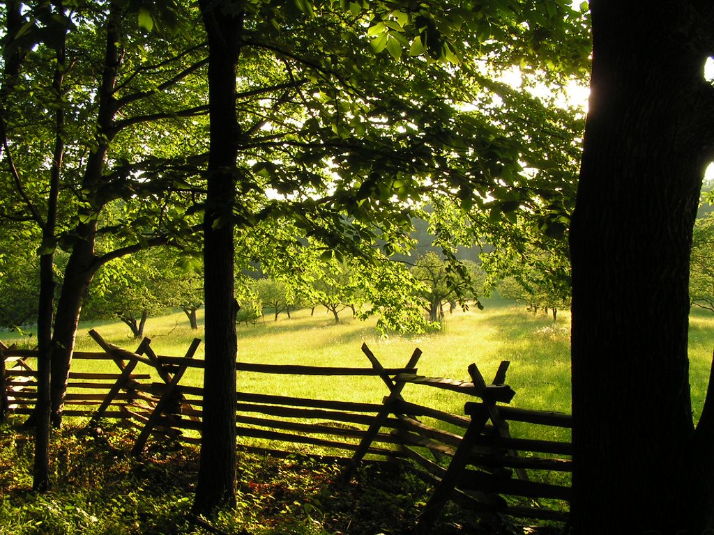 jockey hollow The orchard at Jockey Hollow park in Morrist… Flickr