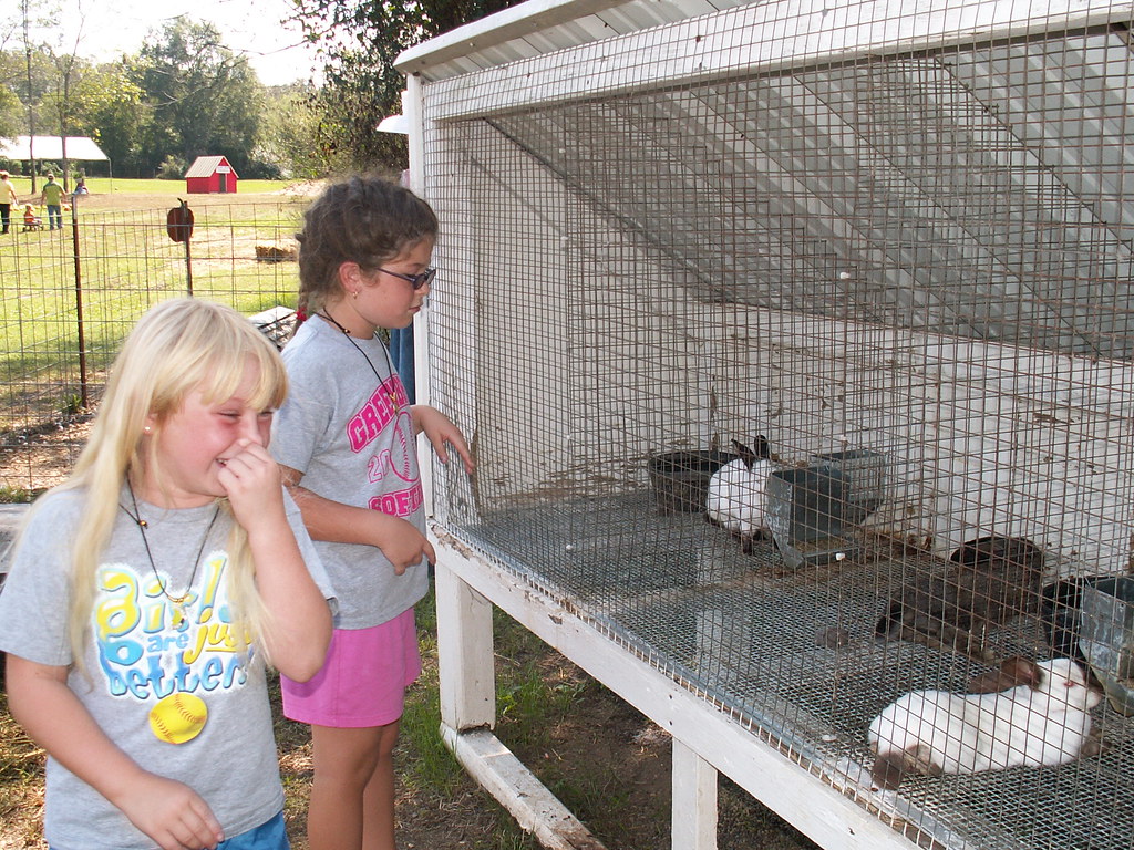 Peeyew!!!! Rabbit poop stinks kari_ellen Flickr