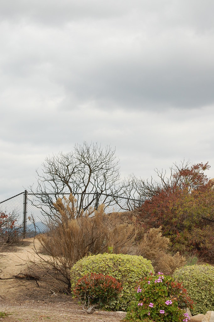 Aftermath of SD Fires Amanda Carson Flickr