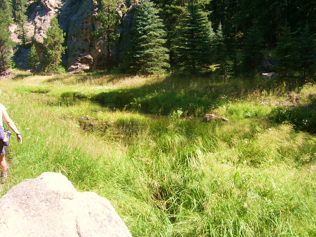 Hike NVSC East Fork Ridge & Box Jemez Hans Quack B 5M 600V… Flickr
