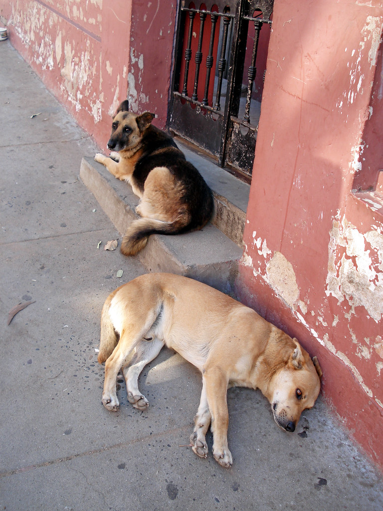 Valparaiso population majority John Van Zandt Flickr