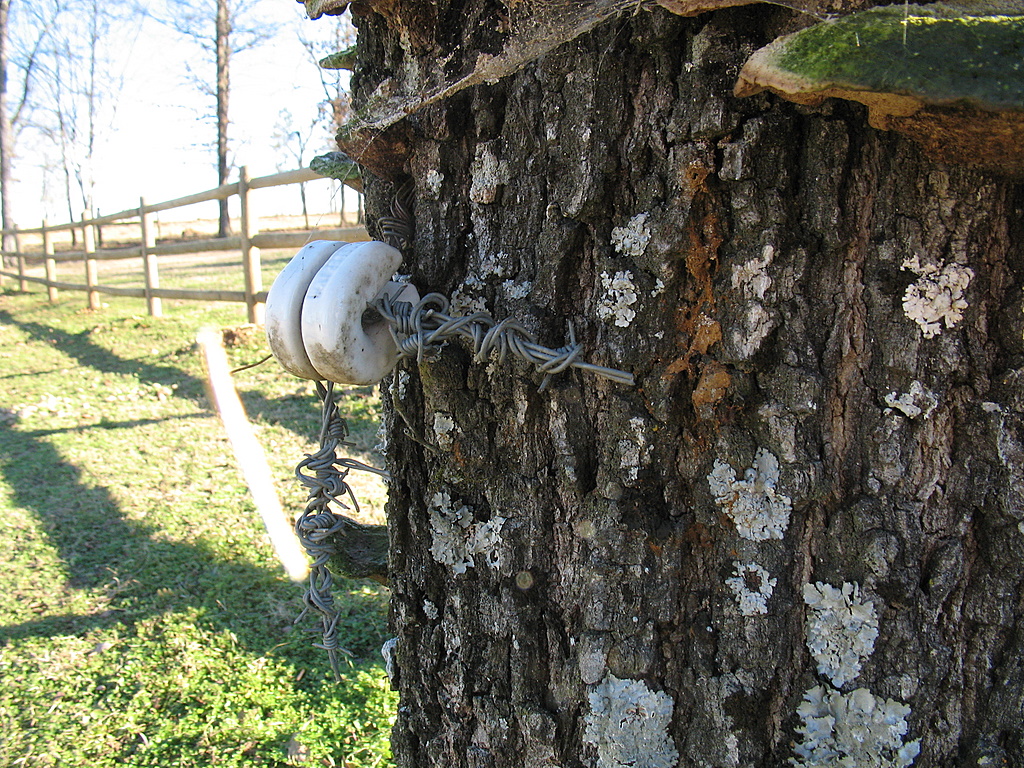 Christmas in Broken Bow Oklahoma Barbed wire looked like a… Flickr