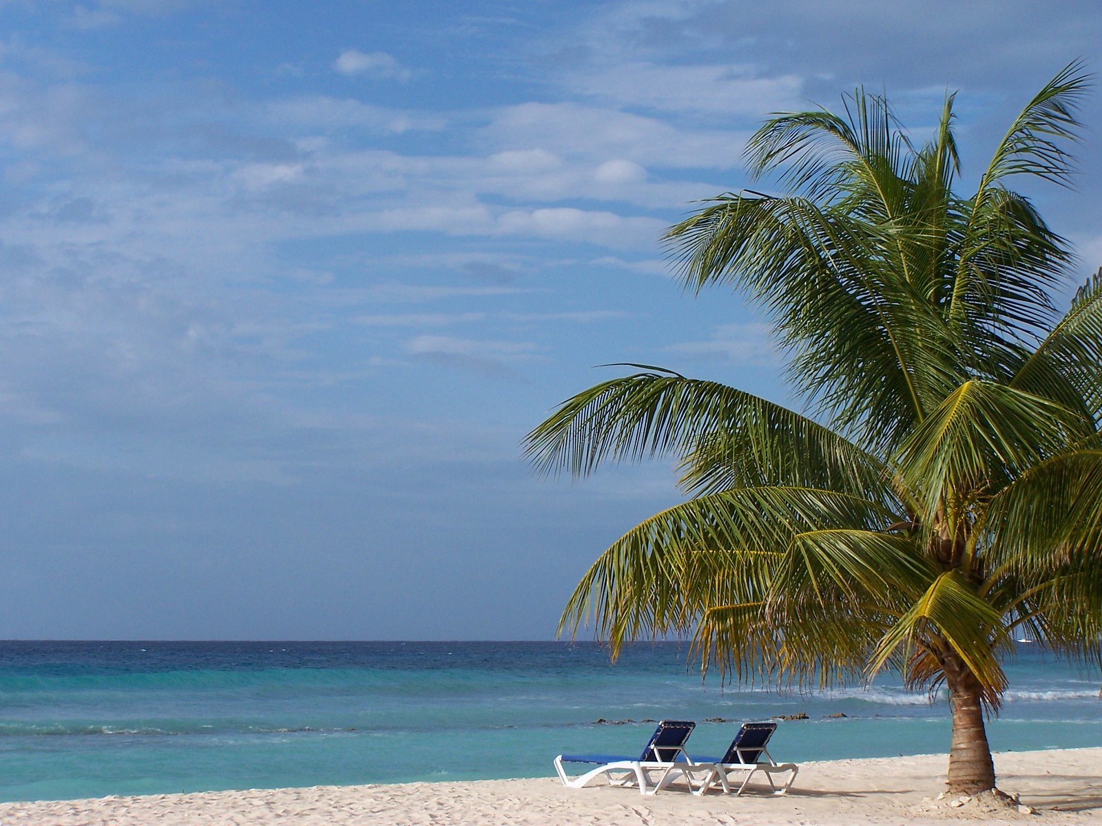 Hastings, Barbados Flickr