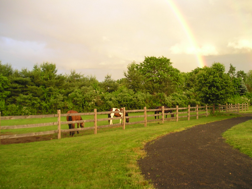 Paddock road by pasture Margot Hosford Flickr