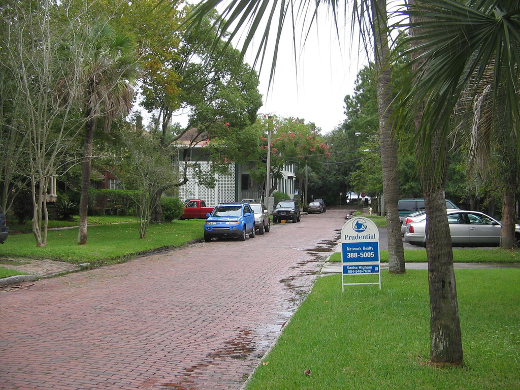 1027 houses in Jax 022 mlpalmer18 Flickr