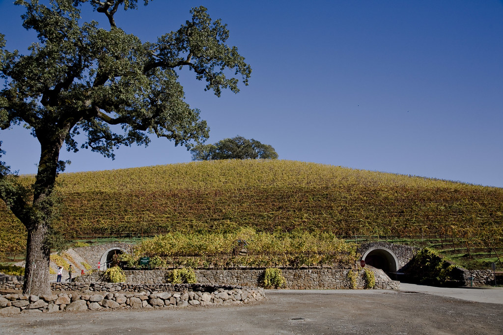 Kunde Estate Vineyard & Winery Sonoma valley. They keep th… Flickr