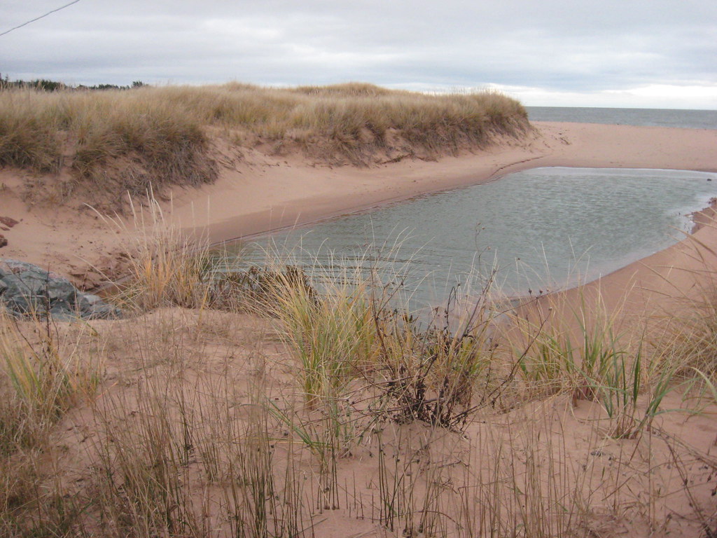 Sheep Pond Little pond in Sheep Pond, Prince Edward Island… Flickr