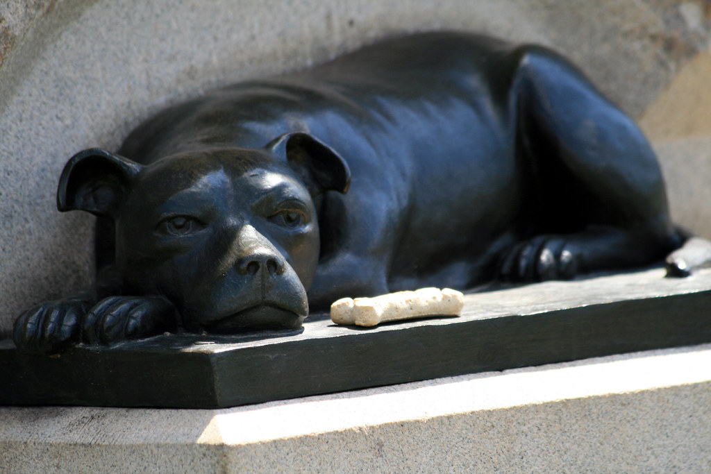 Dog Memorials 15 Sculptures and Tributes You Can Visit Virtually