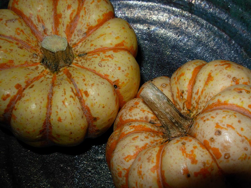 local squash macro Wayne Stratz Flickr