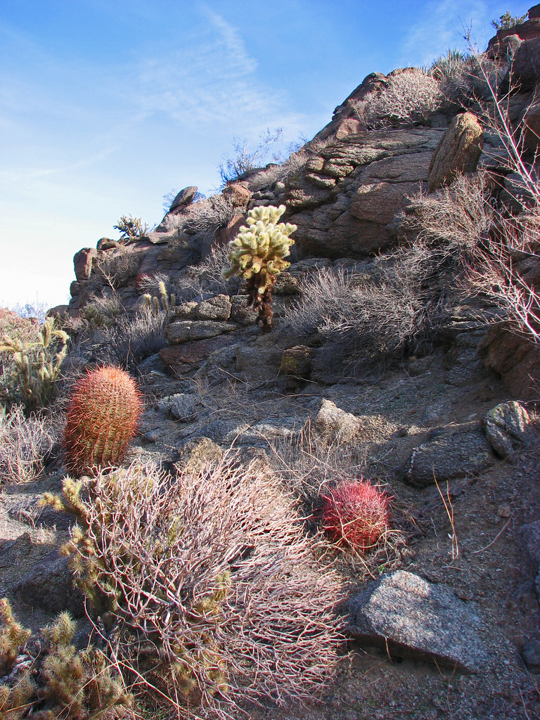 Glorietta Canyon View Anza Borrego State Park, Borrego Spr… Flickr