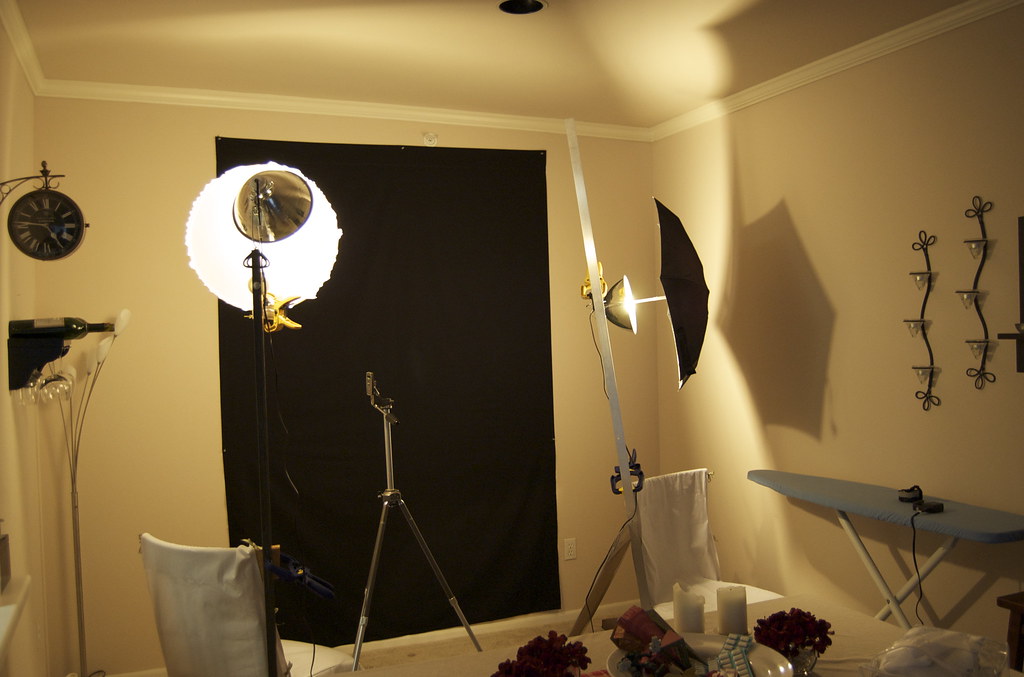 DIY Home Portrait Studio A quick and cheap home portrait s… Flickr
