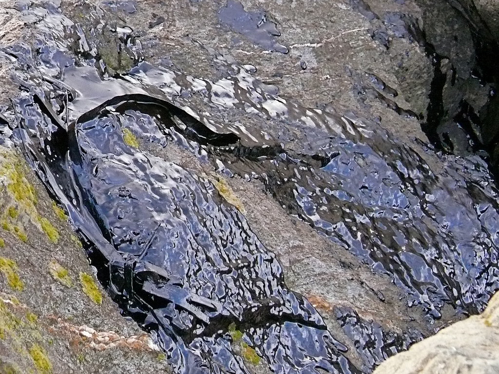 San Francisco Oil Spill Oiled Rocks Oiled rocks at the B… Flickr