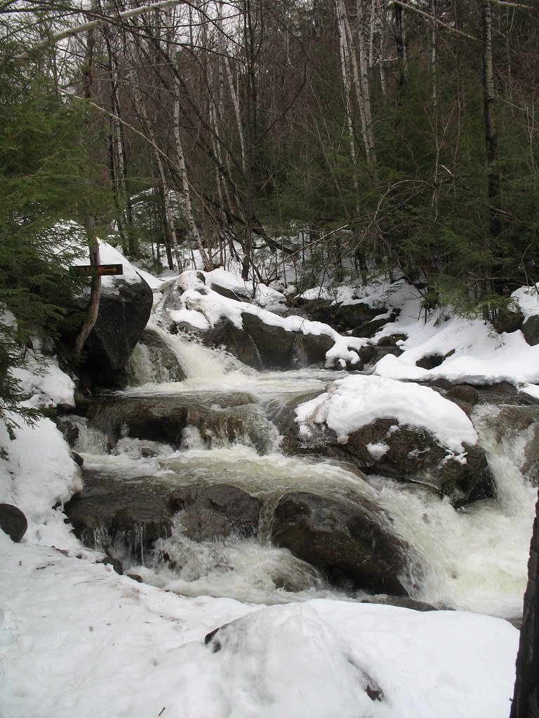 ROARing Brook Roaring Brook in the winter is generally fro… Flickr