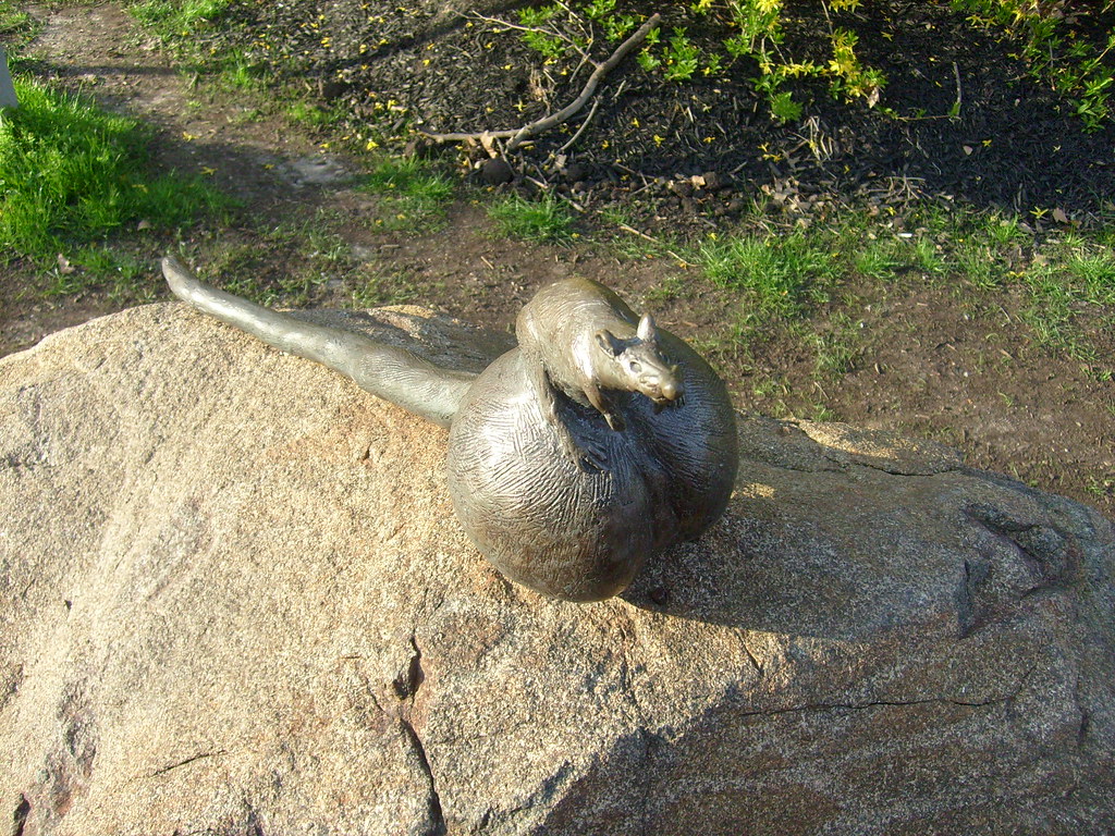 big ass rat balls akeemoct5 Flickr