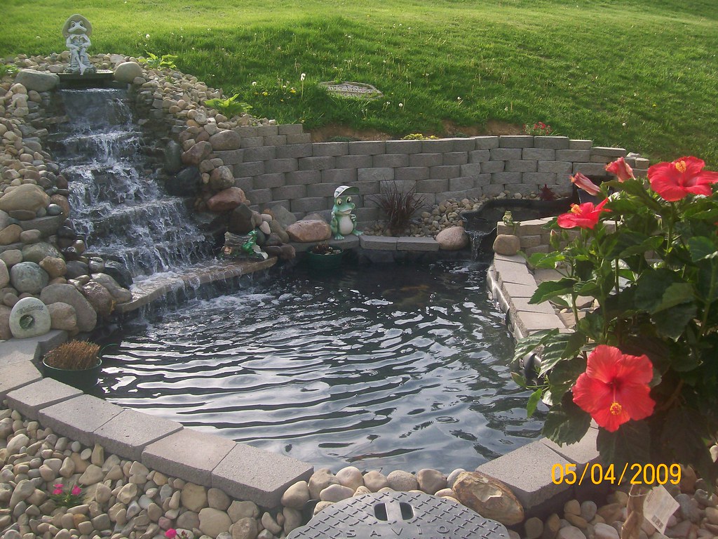 How Many Koi In 3000 Gallon Pond / How To Build A 5000+ Gallon Koi Pond
