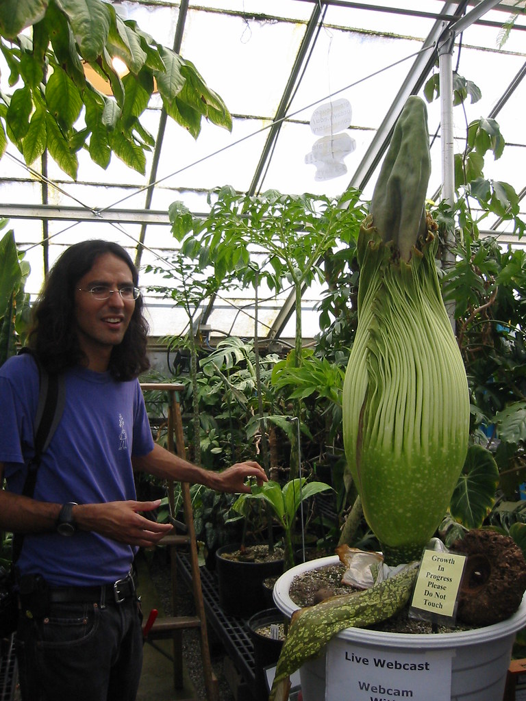 Titanus One of the world's largest, and smelliest flowers Adam Flickr
