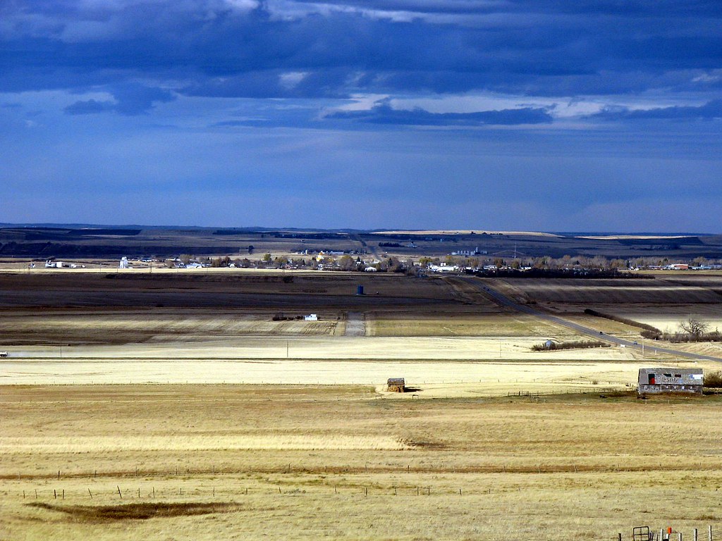 Gull Lake, Saskatchewan Lilypon_SK Flickr