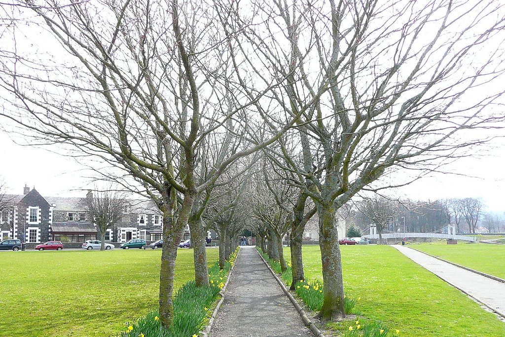 Tweed Green, Peebles In a week or two these cherry trees w… Flickr