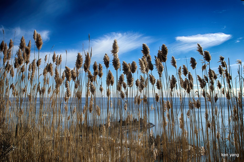Scarborough Bluffs，Lake of Ontario，Toronto Peng Christina Flickr