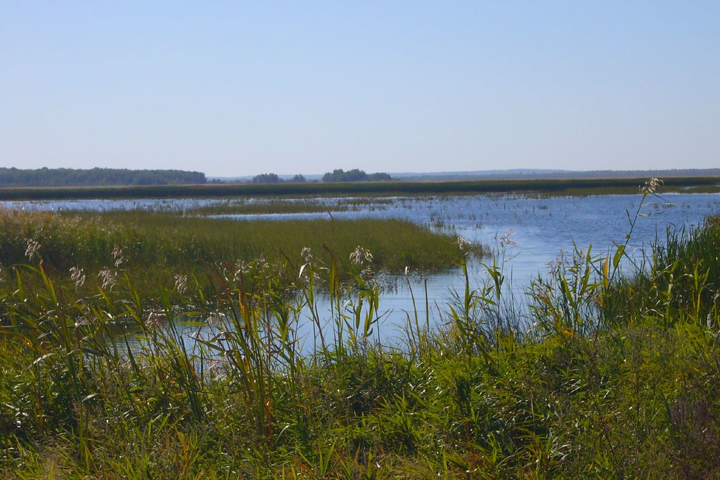 deer river mn lake just outside of town nrosetulip Flickr