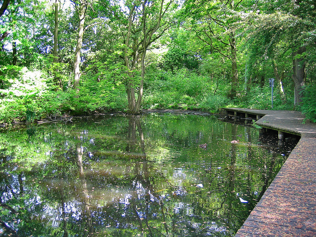 LOCKING STUMPS 4. WARRINGTON A local pond in this nature r… Flickr