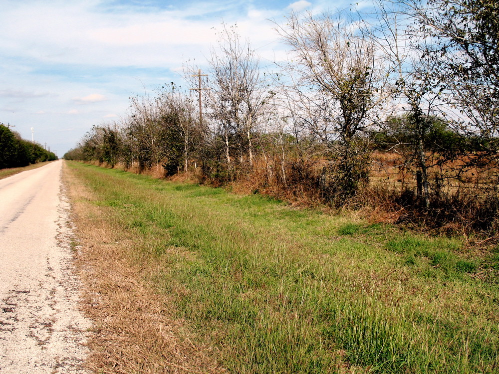 Refugio Co. Texas Typical south Texas ranch country landsc… Flickr