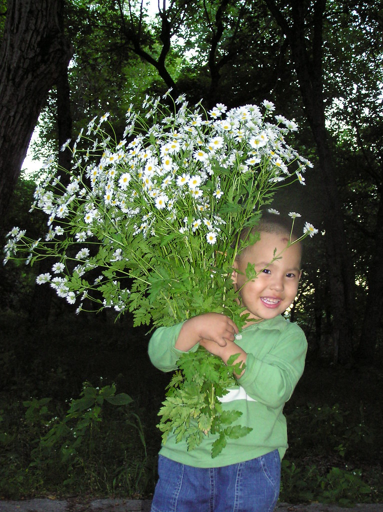 flowers for mummy Arstan with flowers for me aisuluu13 Flickr
