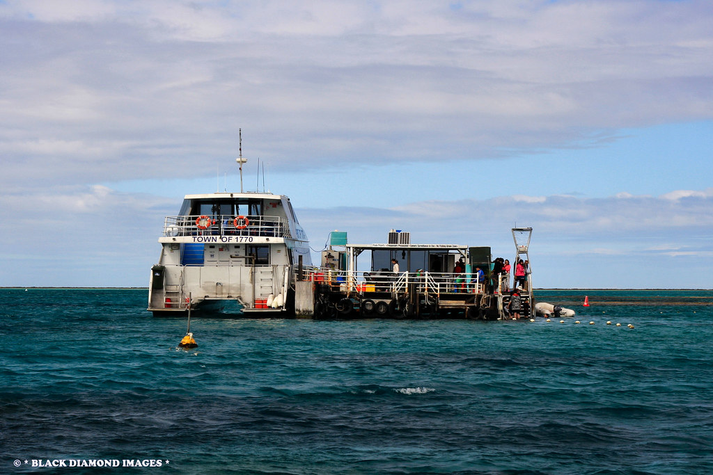 Spirit of 1770 at Mooring Lady Musgrave Island Bunker … Flickr