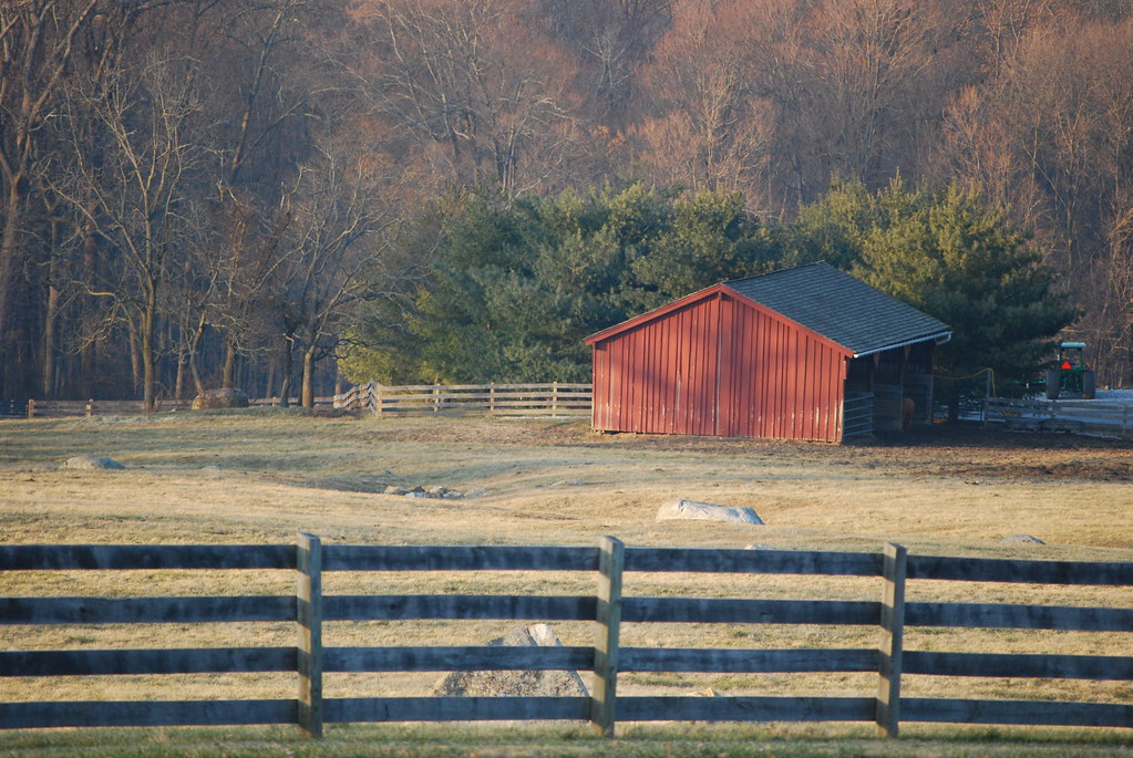 Springton Manor Flickr