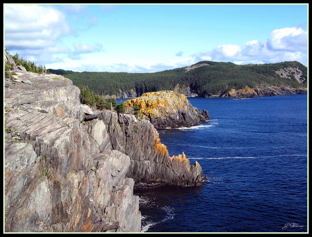 Newfoundland East Coast trail Port Kirwan to Aquaforte … Flickr