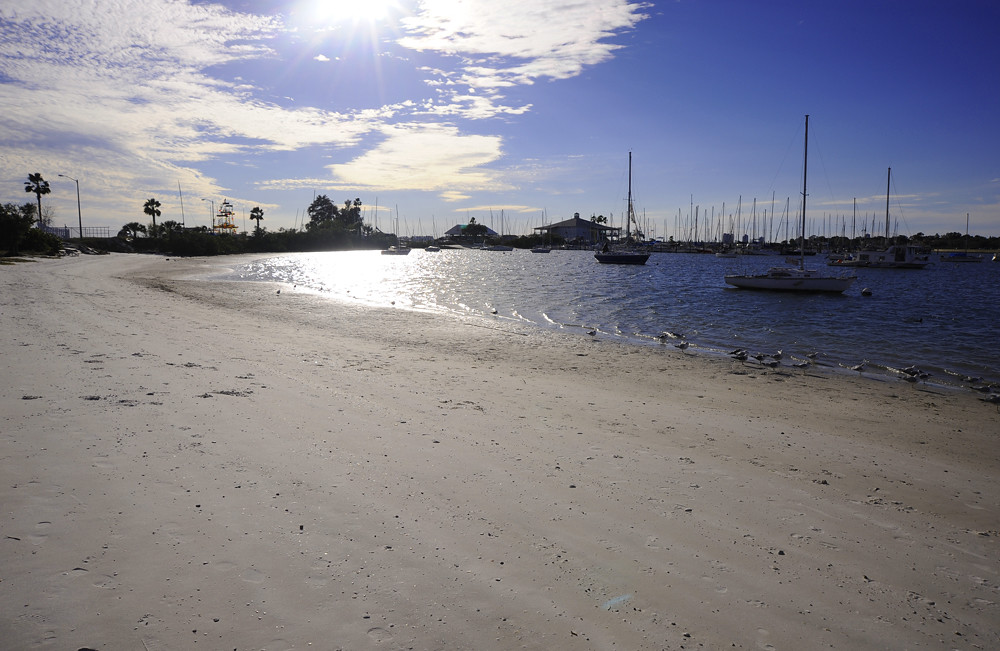Beer Can Beach Davis Islands Tampa Florida Judy Brown Flickr