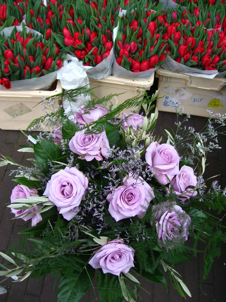 Dutch Roses Geraldine Curtis Flickr