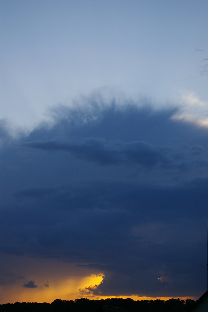 sunset Lutz S. Flickr