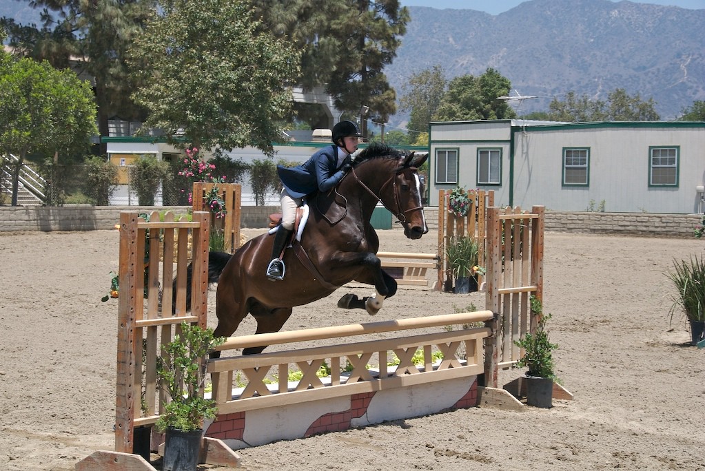 DSC_6346.jpg LA Equestrian Center Burbank, CA 61607 RJ Flickr