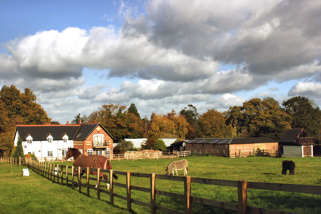Dorset UK Hillsfoot Farm, Shillingstone. G.Rains Flickr
