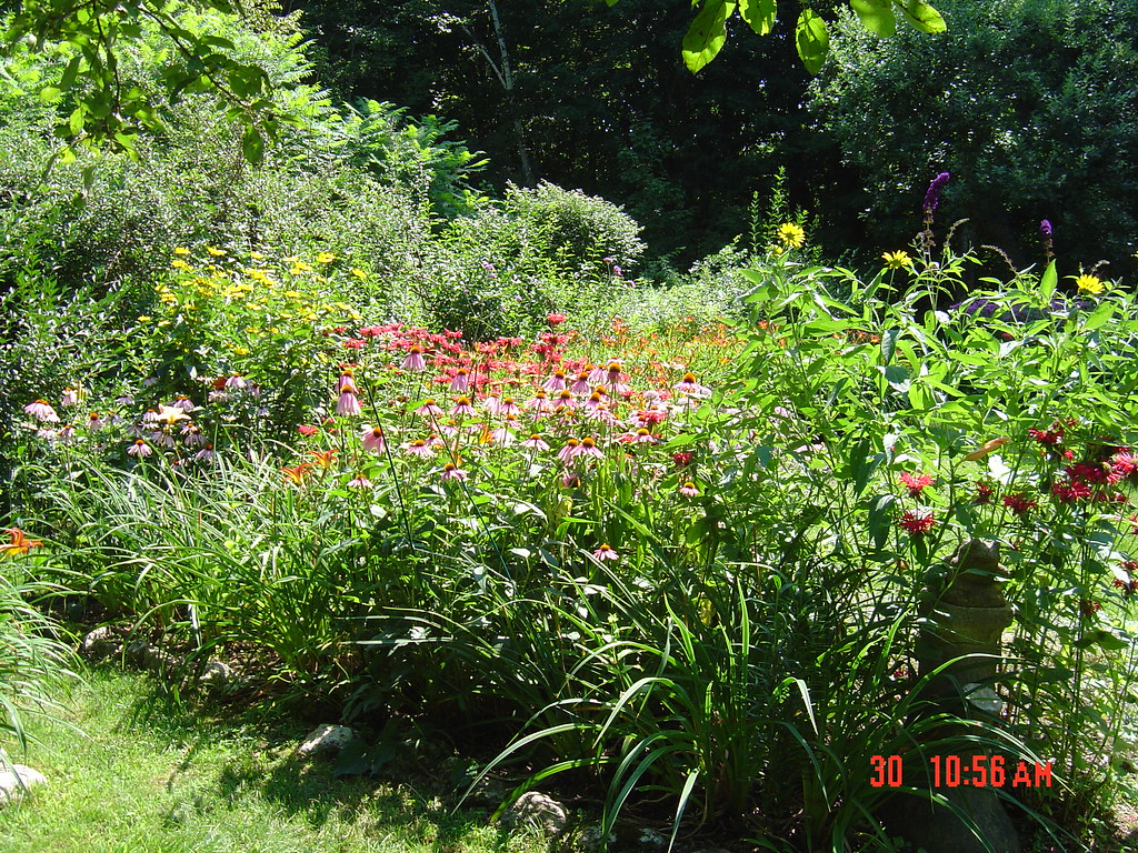 Williamstown Garden 20051 A delightful trip with Mary Ell… Flickr