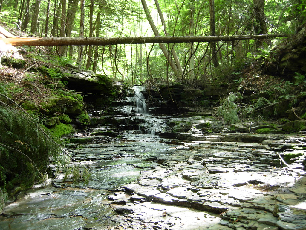 Little Meadows PA Creek at Little Meadows PA Barney Flickr