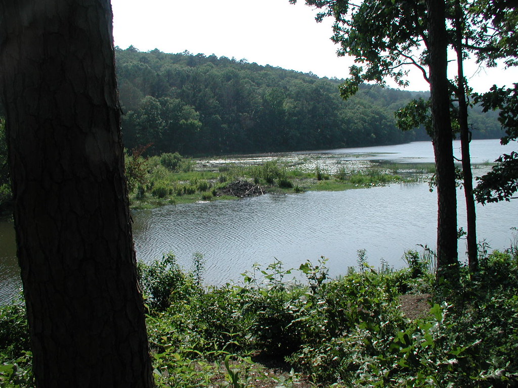 Clayton Lake J Flickr