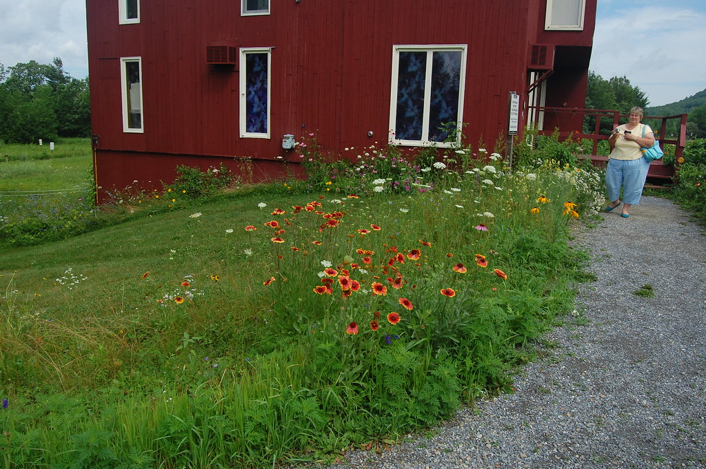 Wildflower FarmVermont Craig Oakford Flickr