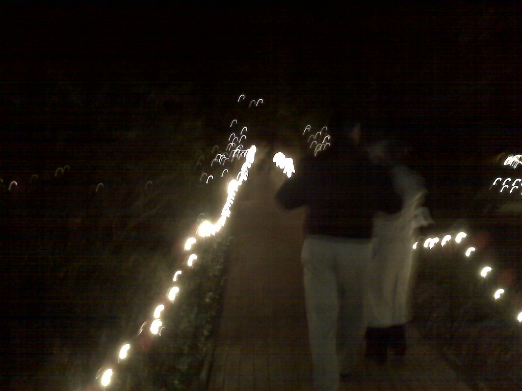 Hopeland Gardens Christmas Lights Hopeland Gardens 2007 Christmas Lights Stephen Sullivan Sr Flickr