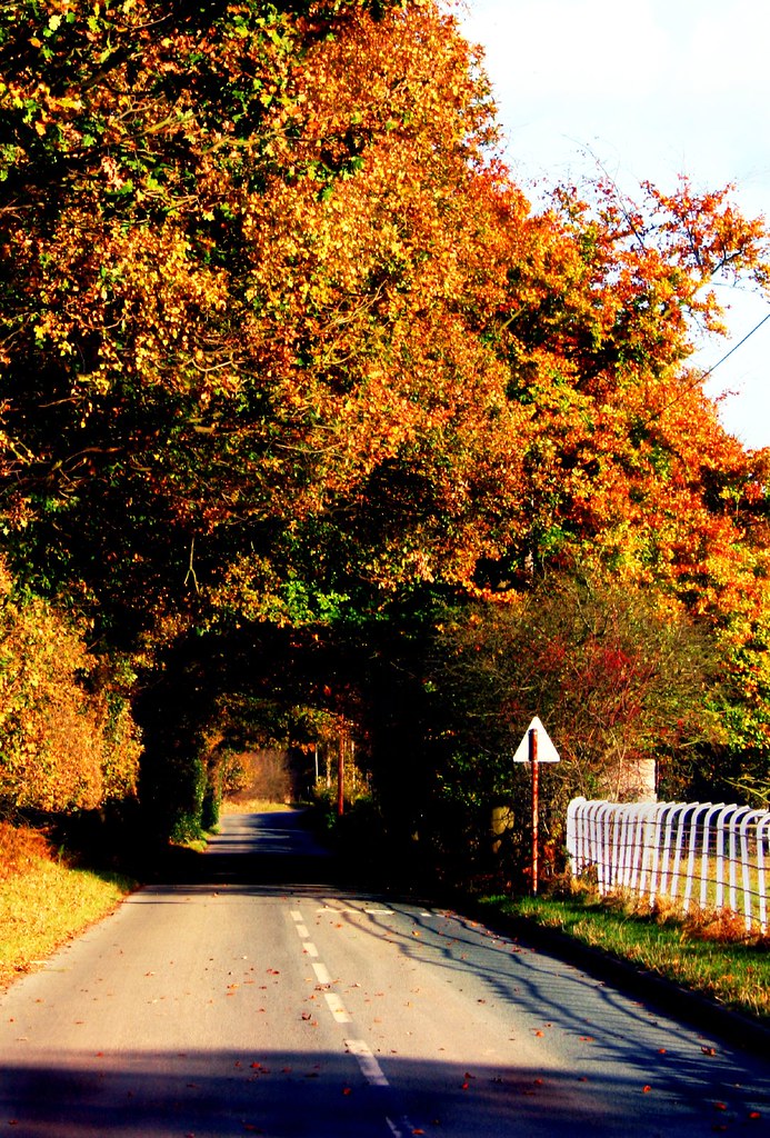 Stafford brook road Ian Elson Flickr