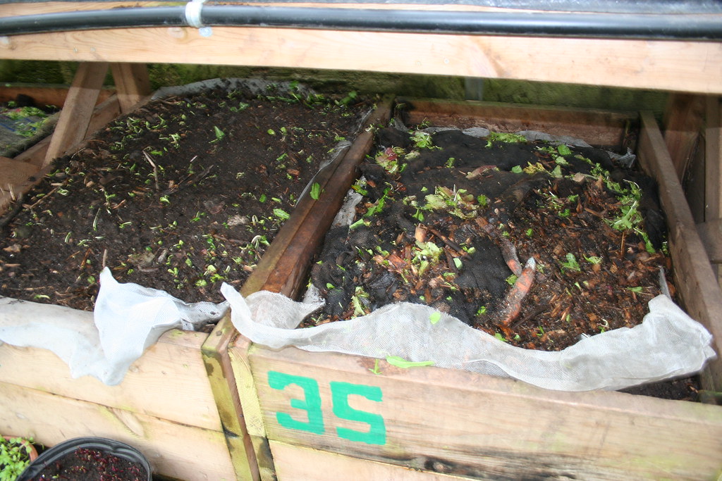 Vermiculture Bins Bins with sorting screen on top to coax … Flickr