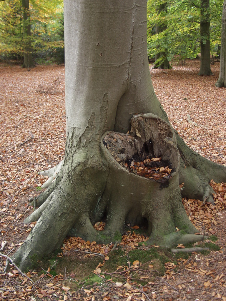 Everyday the 14th! Happy Valentine's Day Outkast rogiro Flickr