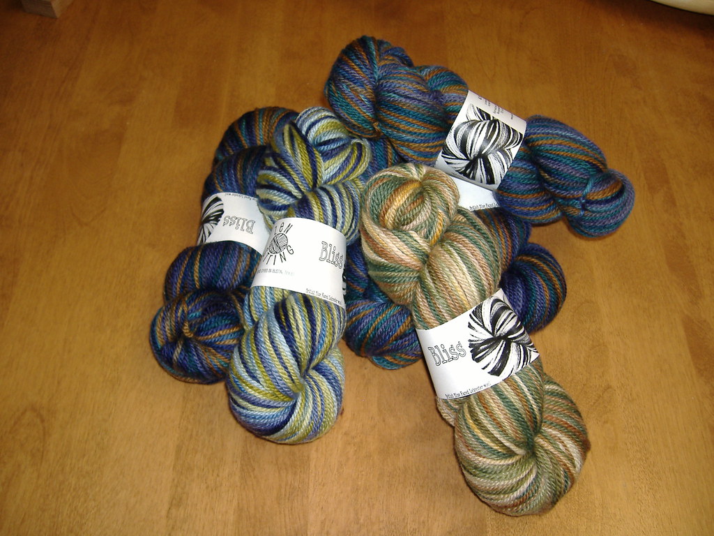 Zen String YP for April '08 Karin Flickr