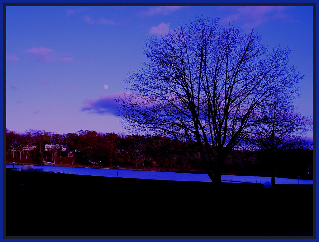 November Night A November night.Lamberton Lake, Grand Rapi… Flickr