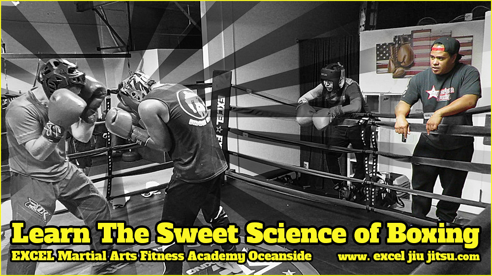 Boxing in Oceanside Vista California EXCEL Jiu Jitsu Flickr