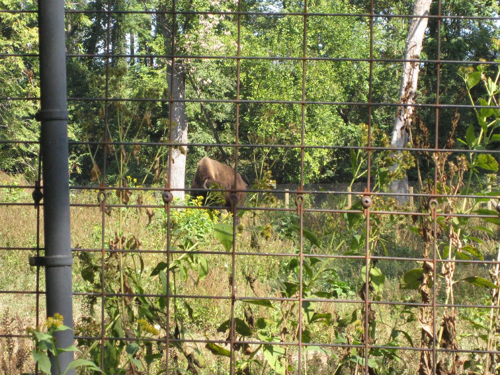 Maymont Park Richmond, Va Flickr
