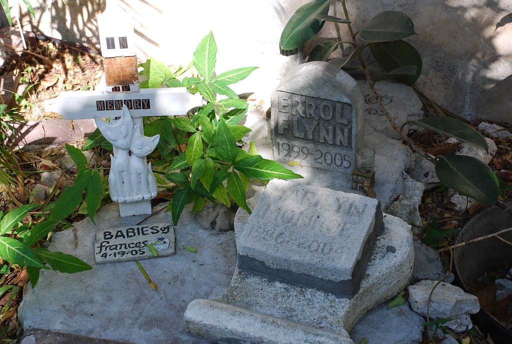Cat cemetery Ernest Hemingway house, Key West, FL Adam Fagen Flickr